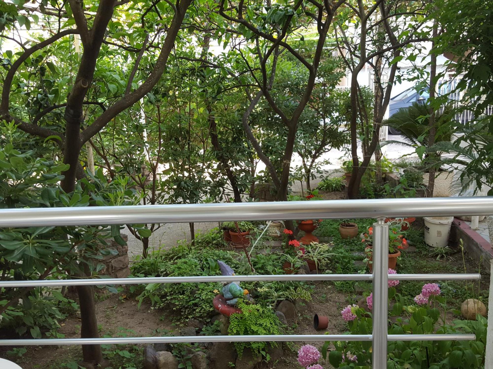 Apartmani Bonik บุดวา ภายนอก รูปภาพ